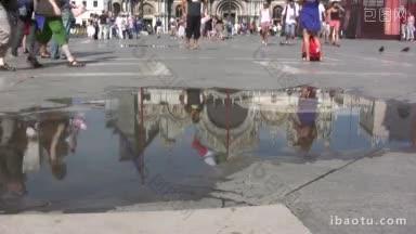观察威尼斯天马座广场的鸽子